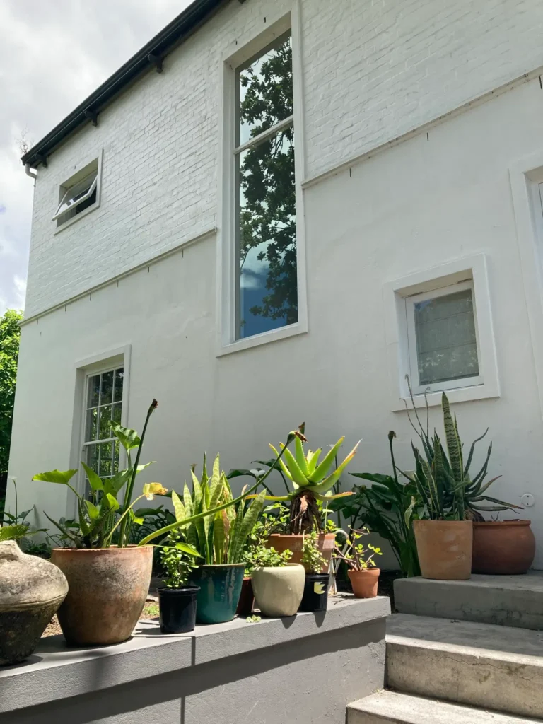 Peach Lane